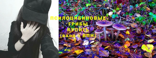 мет Медвежьегорск