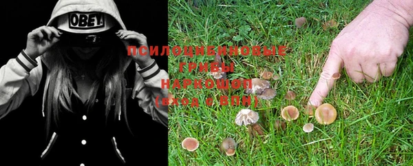 молекула духа Мегион